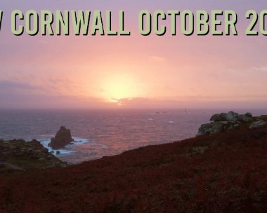 cornwall_oct_19.mp4 SW Cornwall Wildlife Trip October 2020